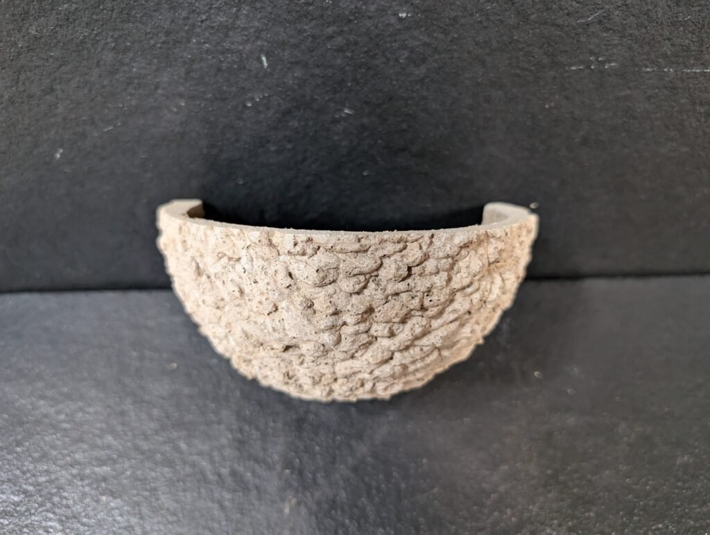 Swallow nest cup Swallow nest cup