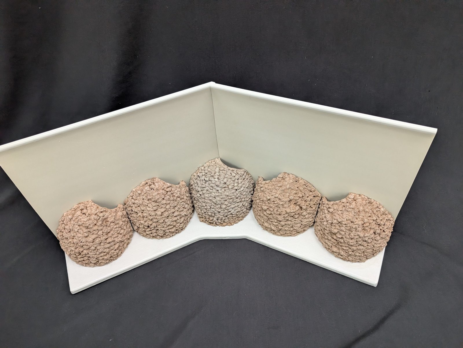 5 cup apex house martin cup made to measure by nest cup box