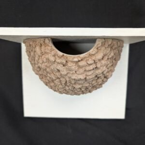 single house martin nest cup by nest cup box (4)