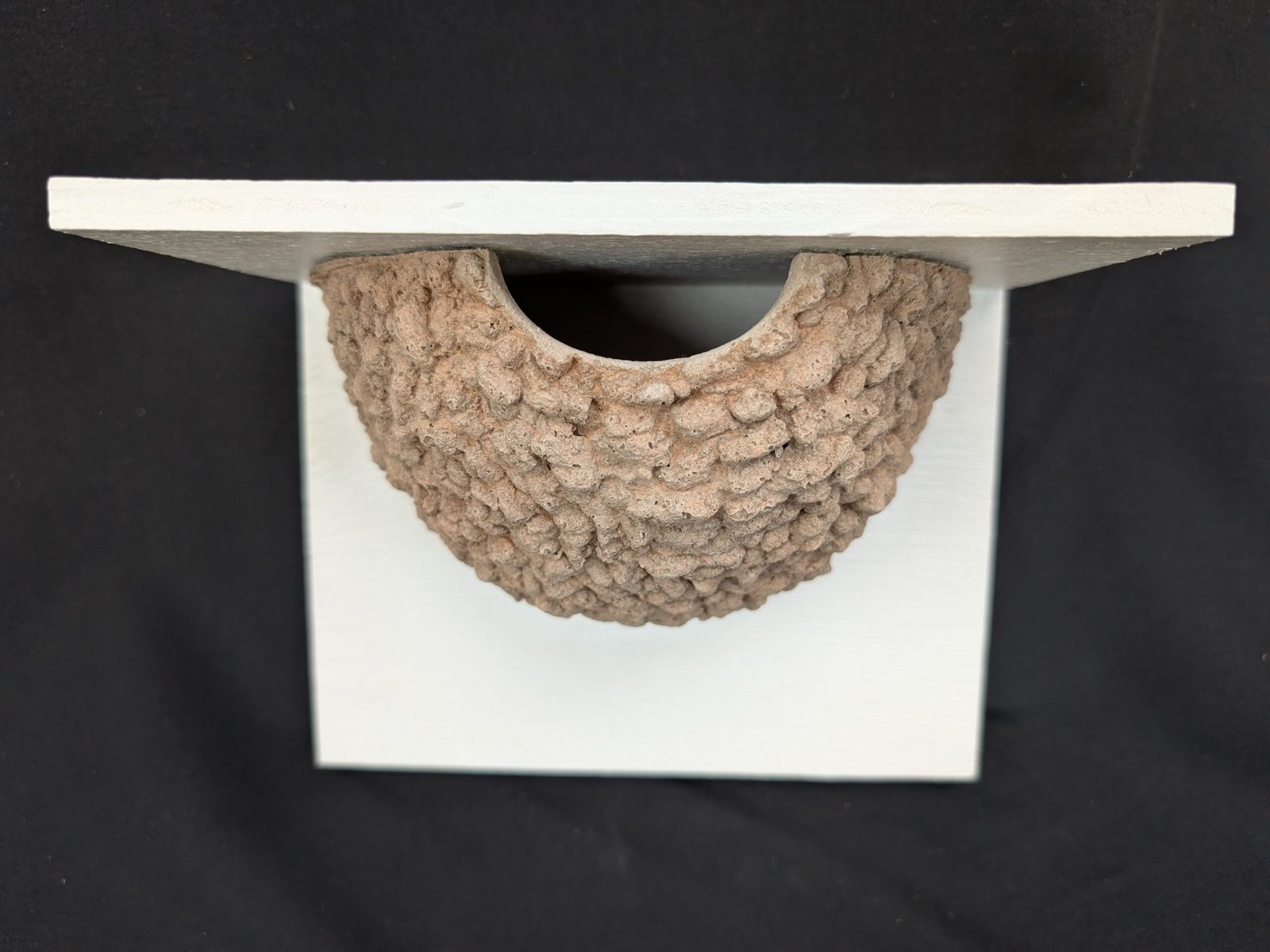 single house martin nest cup by nest cup box (4) single house martin nest cup by nest cup box (4)