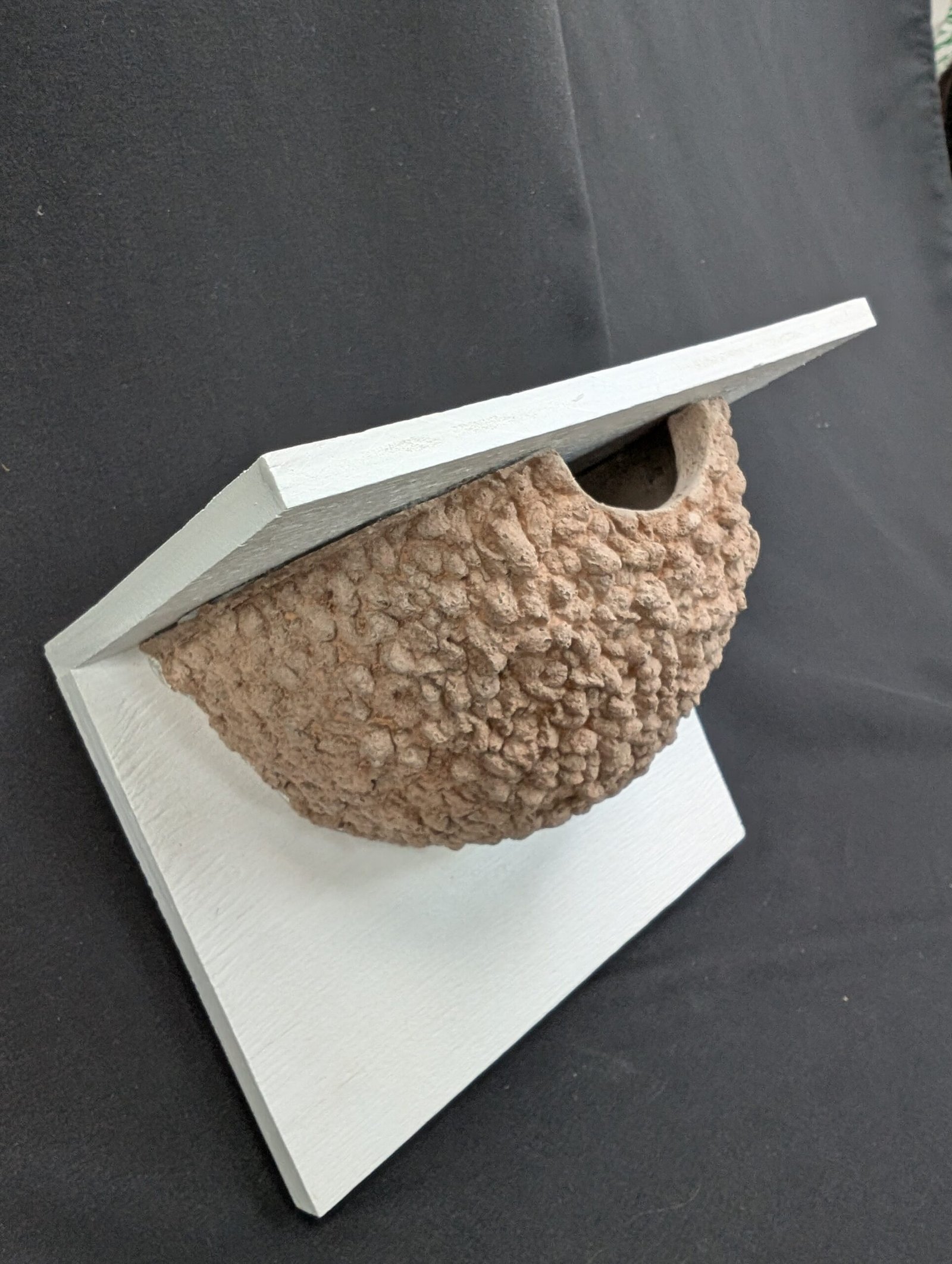 single house martin nest cup by nest cup box