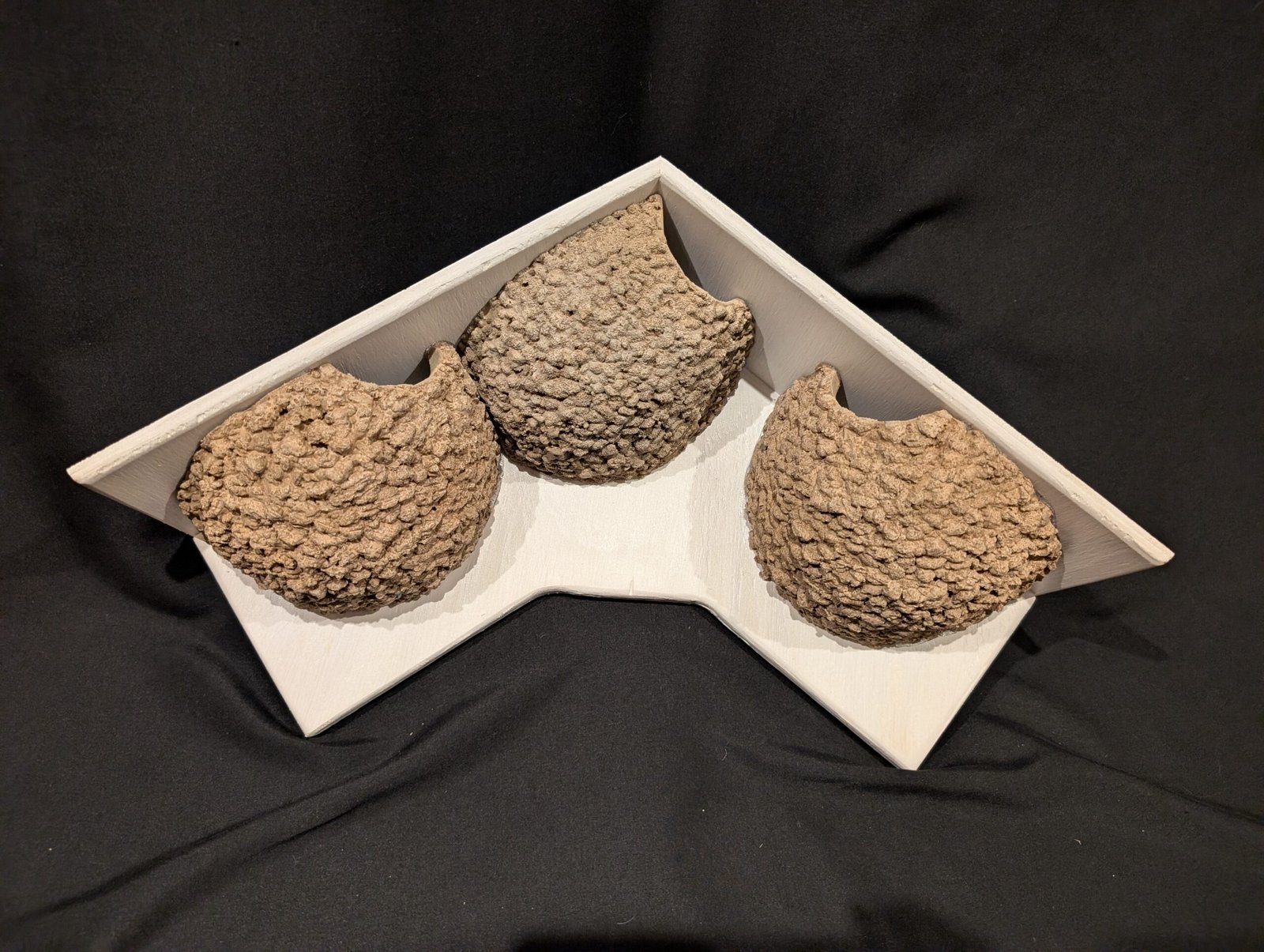 triple apex house martin cups made to measure by nest cup box 1 (2)