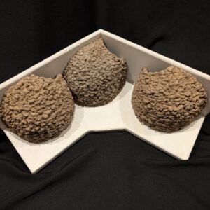 triple apex house martin cups made to measure by nest cup box (6)