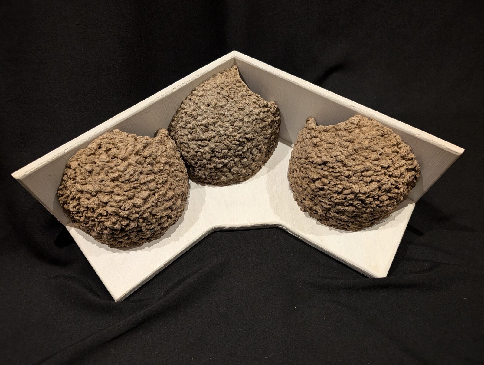 triple apex house martin cups made to measure by nest cup box (6)
