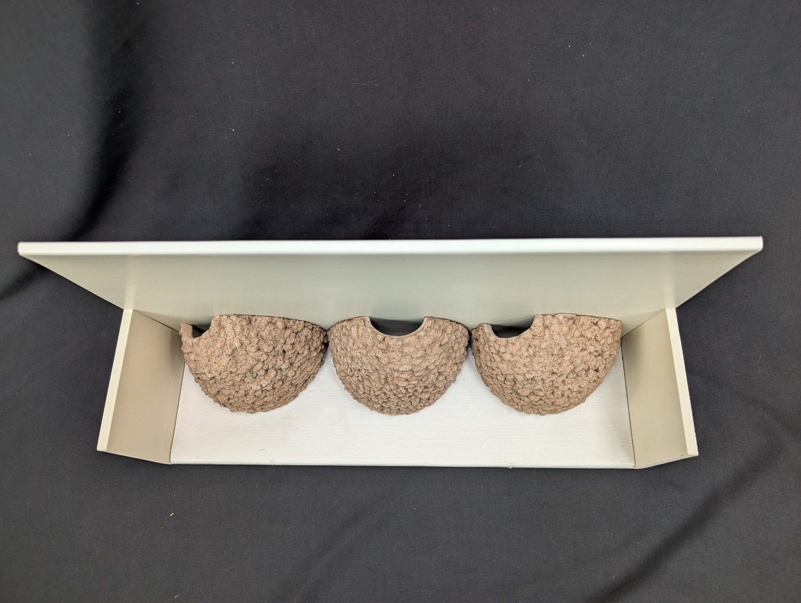 triple house martin nest cup by nest cup box